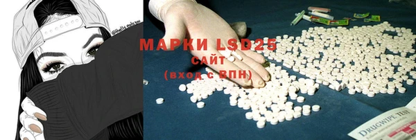 индика Шали