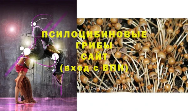 стаф Шарыпово