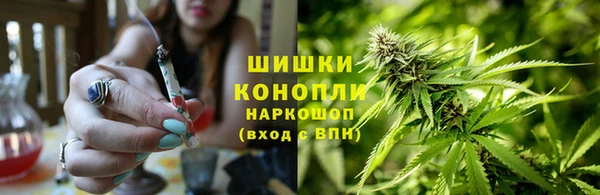 индика Шали