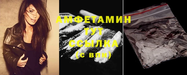 индика Шали