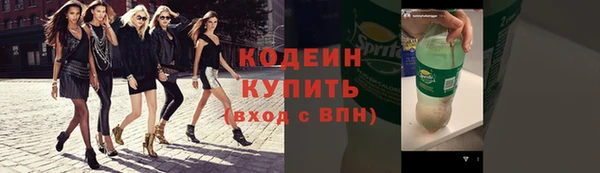 индика Шали