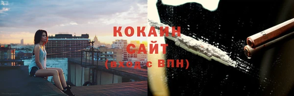 индика Шали