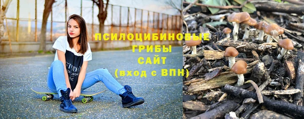 индика Шали