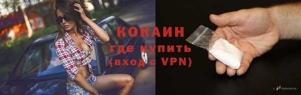 индика Шали