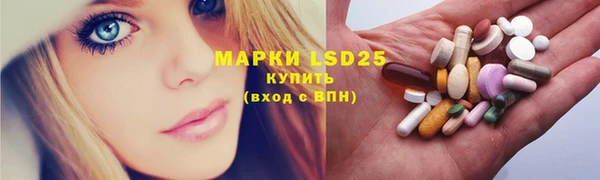 индика Шали