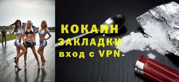 дживик Шадринск