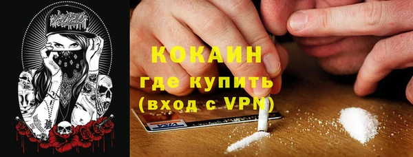 индика Шали