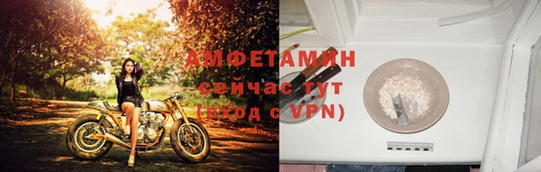 индика Шали