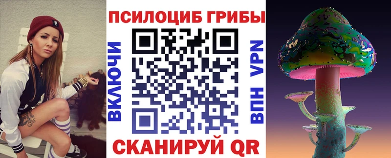 Галлюциногенные грибы MAGIC MUSHROOMS  mega ONION  Стерлитамак  наркота 