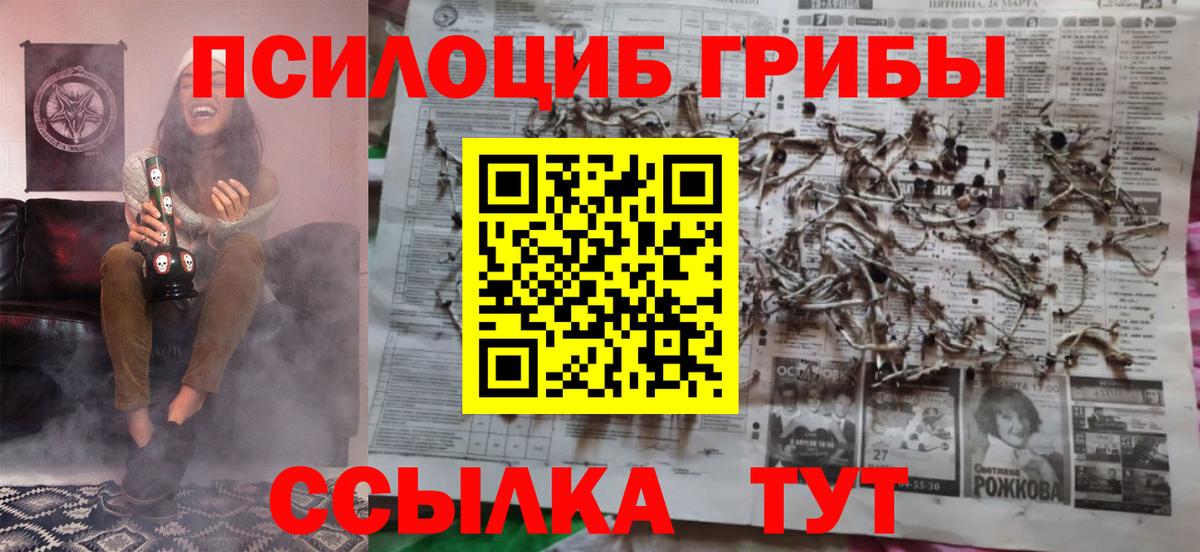 Псилоцибиновые грибы ЛСД Стерлитамак