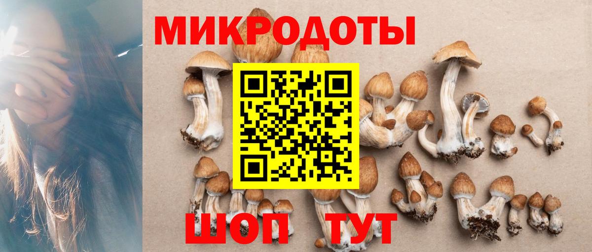 Стерлитамак  Псилоцибиновые грибы GOLDEN TEACHER  Вход с VPN 
