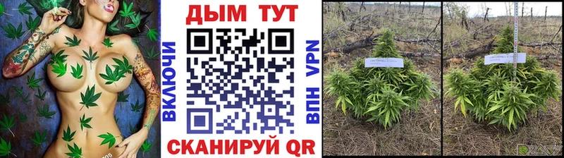 Канабис ГИДРОПОН  блэк спрут ТОР  Стерлитамак 